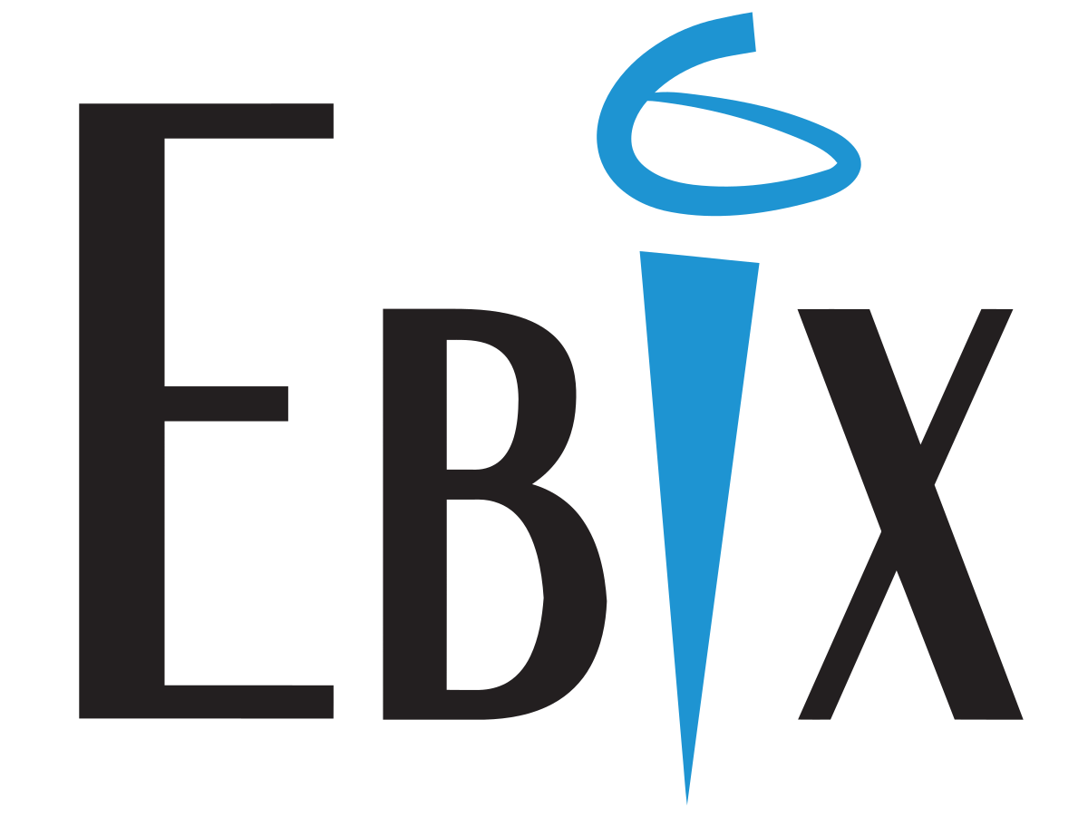 Ebix Software India Pvt. Ltd. logo